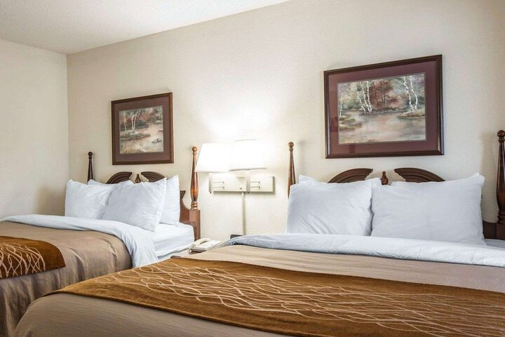 2 Double Beds (5 of 5)
