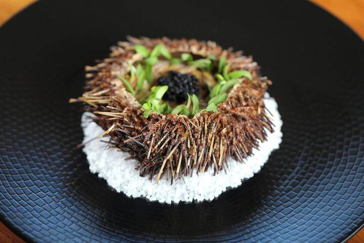 Dining 202 of 252