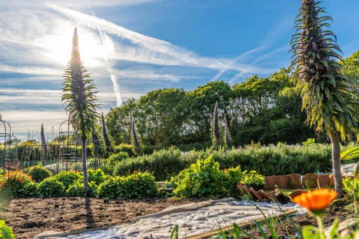 Spa and Wellness Pictures