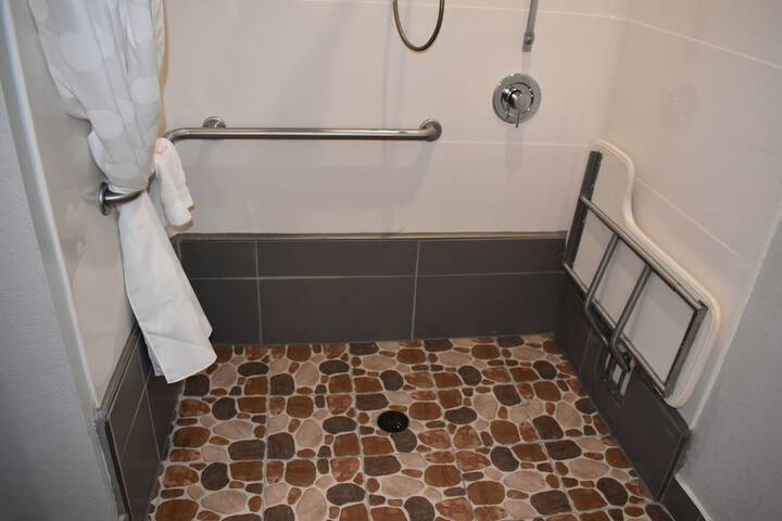 1 Queen Bed Deluxe Accessible Room (25 of 28)