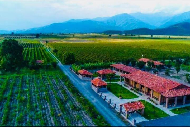 Gugoshvilis Cellar