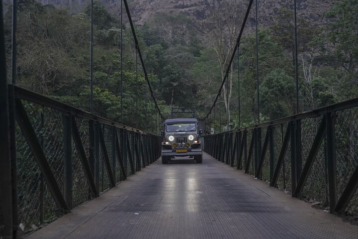 Safari