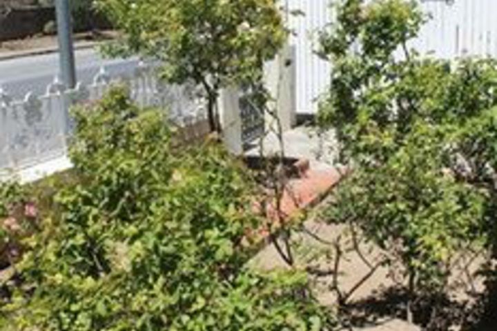 Property Grounds 98 of 113