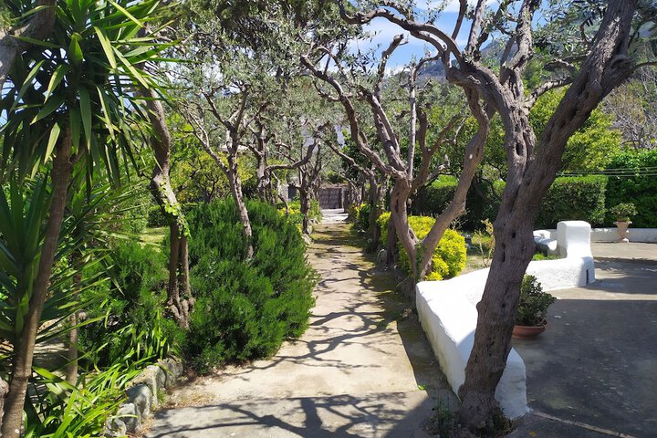 Terrace/Patio 142 of 246
