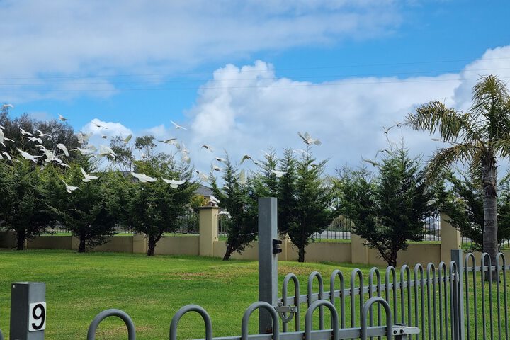 Hotel Exterior 106 of 121