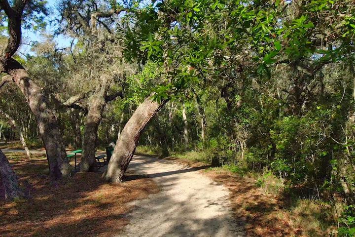 Property Grounds 65 of 75