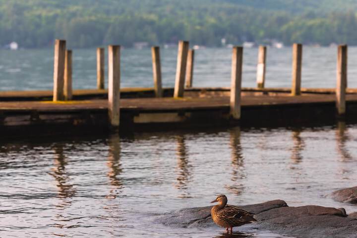 Property Grounds 51 of 60