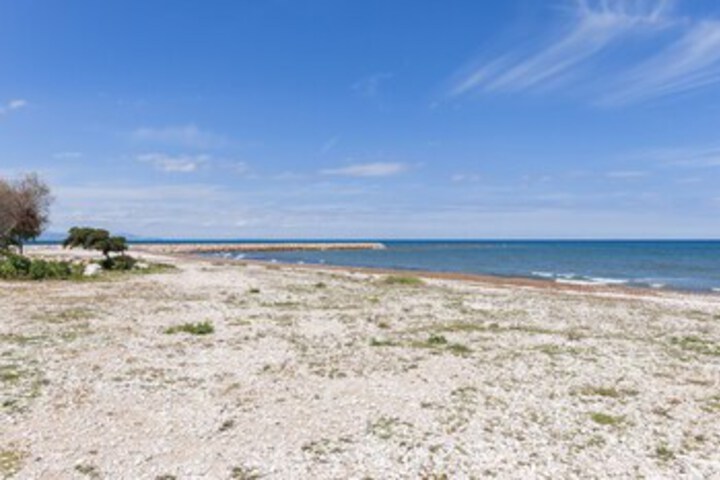 Beach 6 of 21
