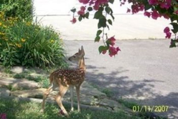 Property Grounds 23 of 25