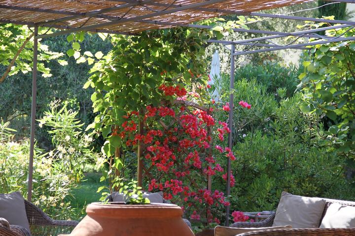 Terrace/Patio 124 of 147
