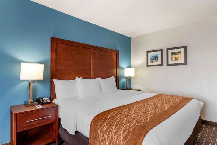 1 King Bed (9 of 19)