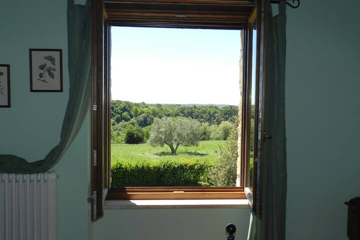 Room 16 of 43