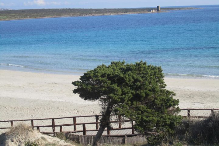 Beach 42 of 60