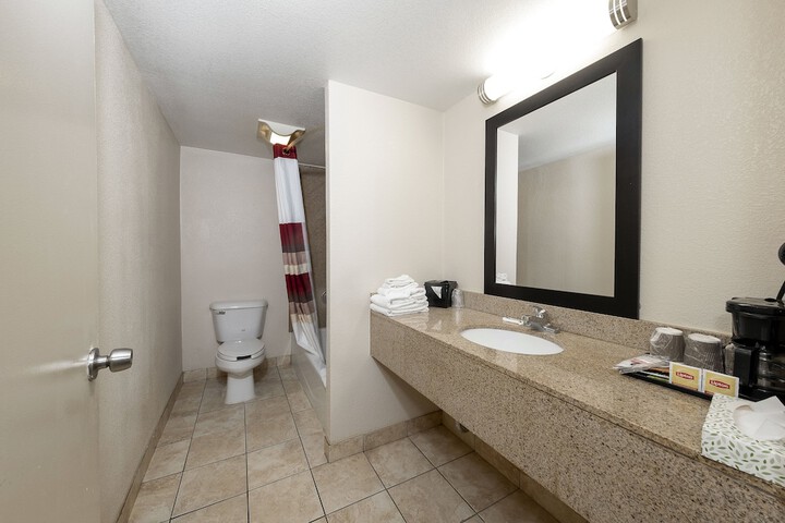 ADA Accessible Superior King with Walk in Shower (13 of 21)