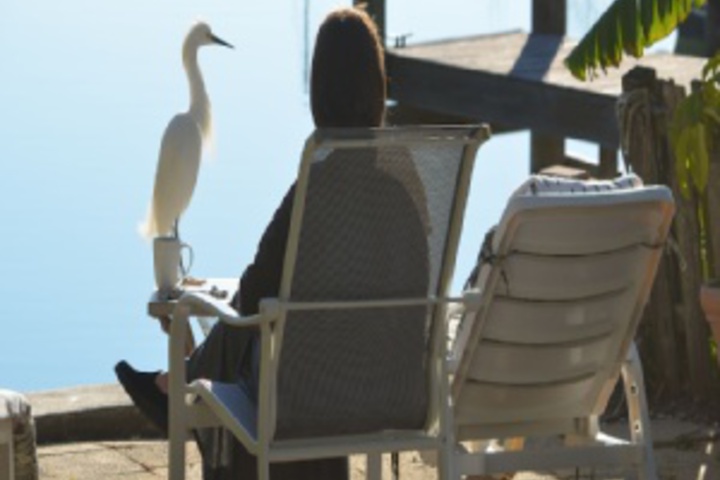 Property Grounds 33 of 576