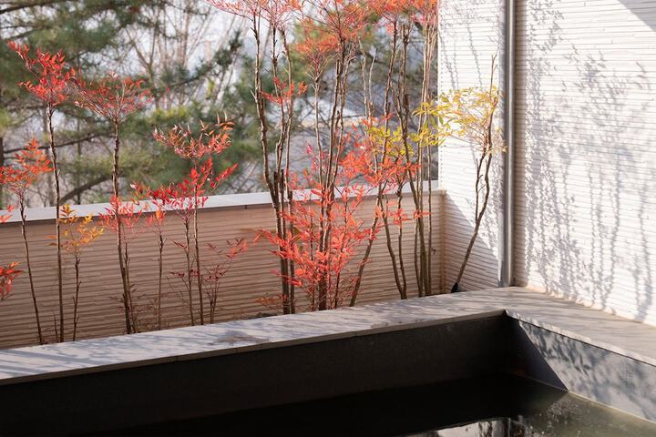 Terrace/Patio 92 of 155