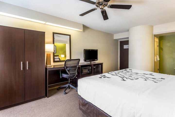 Standard | King Bed (5 of 9)