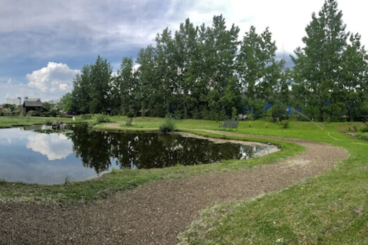 Property Grounds 51 of 60