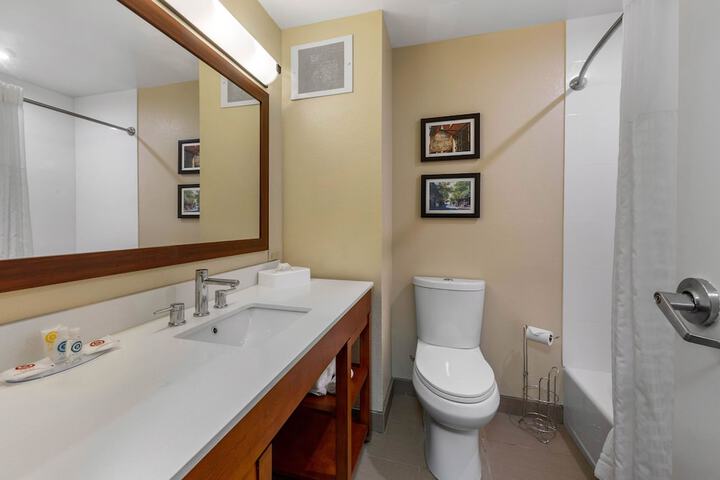 1 Queen Bed Accessible (4 of 19)