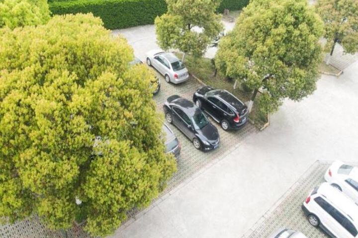 Photo 28