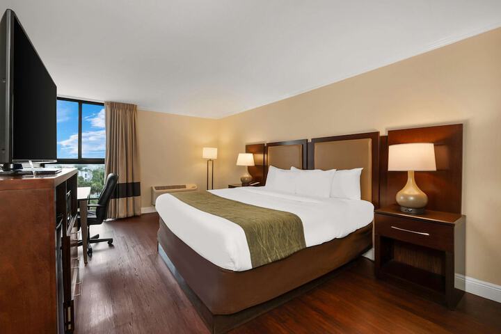 Standard King Bed City View (3 of 11)