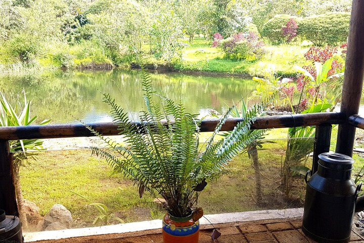 Property Grounds 21 of 28