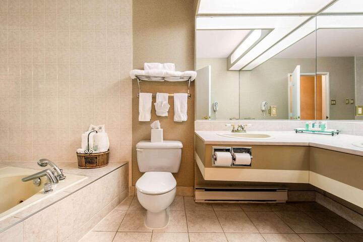 1 King Bed Business Room Upgrade (8 of 26)