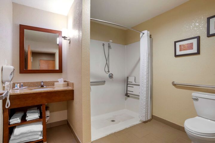 1 King Bed Suite (10 of 15)