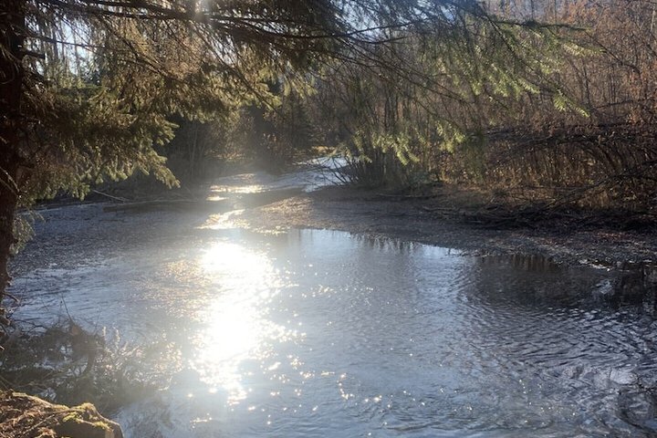 Exterior of Bear Bottoms at Salmon Creek
