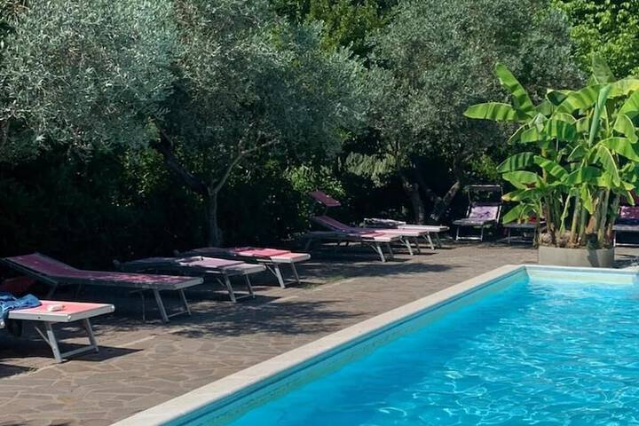 Pool to Cool