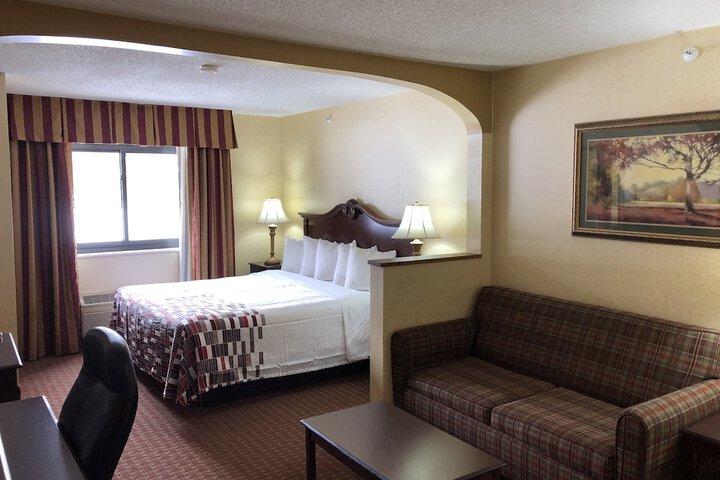 Standard Suite 1 King Bed with Sofa Bed (6 of 6)