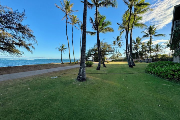 Property Grounds 69 of 93