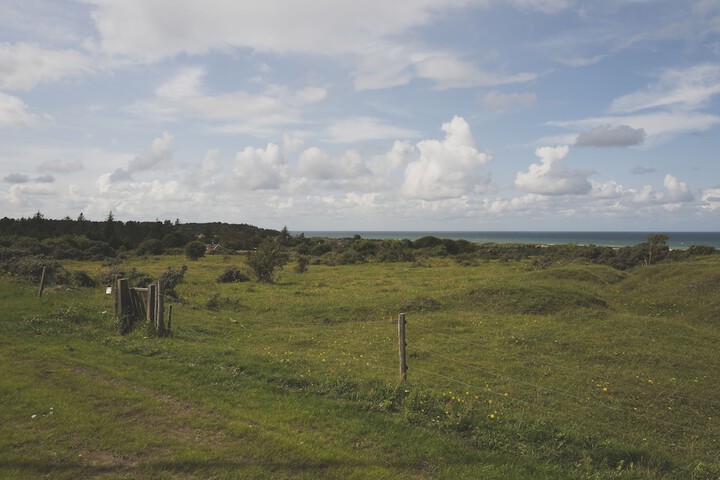 Beach 44 of 53