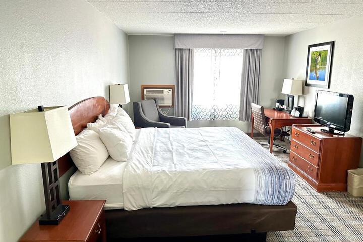 1 King Bed (2 of 13)