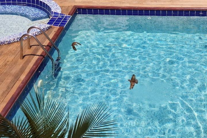 Pool 23 of 120