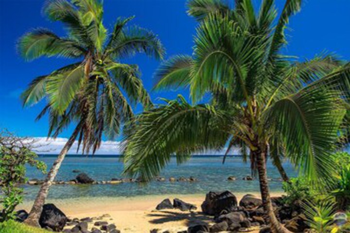 Beach 109 of 120