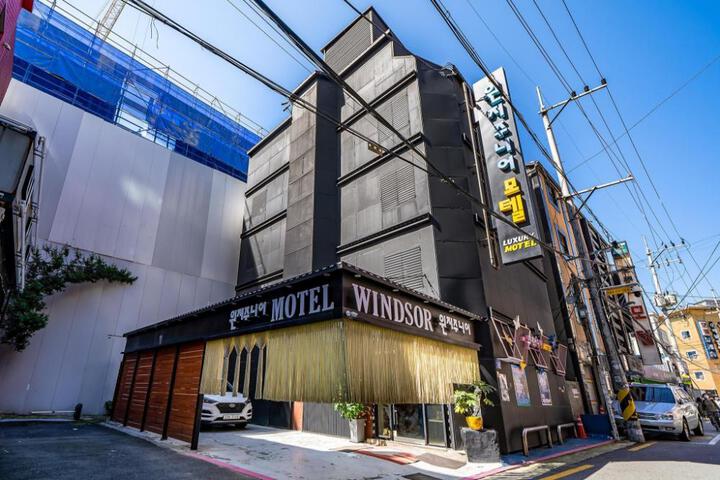 Suyu Windsor Junior