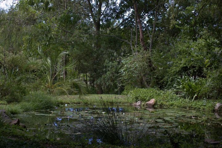 Property Grounds 15 of 34