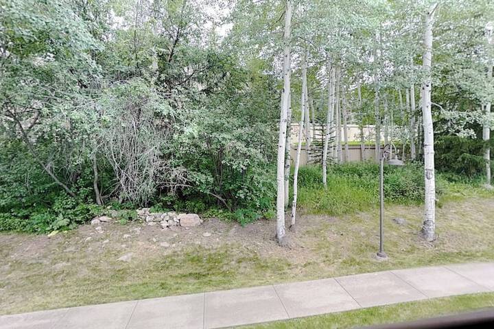 Terrace/Patio 662 of 891