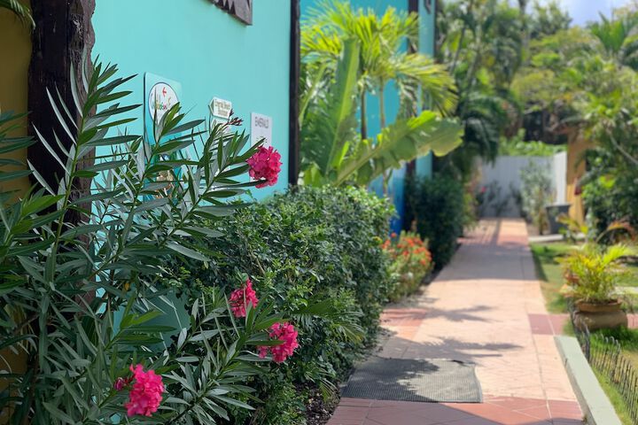 Hotel Exterior 94 of 155