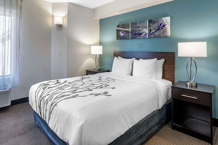 1 Queen Bed Accessible (5 of 6)
