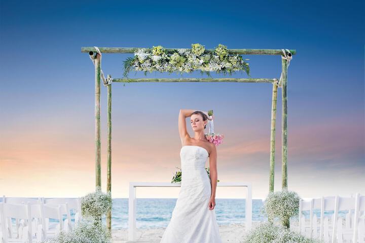 Wedding/Banquet 87 of 129