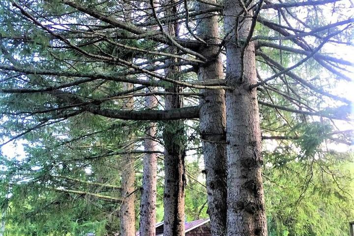 Property Grounds 60 of 84