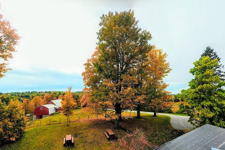 Property Grounds 150 of 191