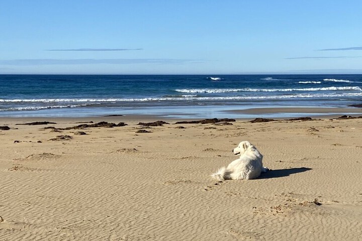 Beach 103 of 128