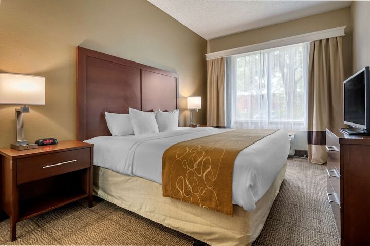 1 King Bed Suite (15 of 26)