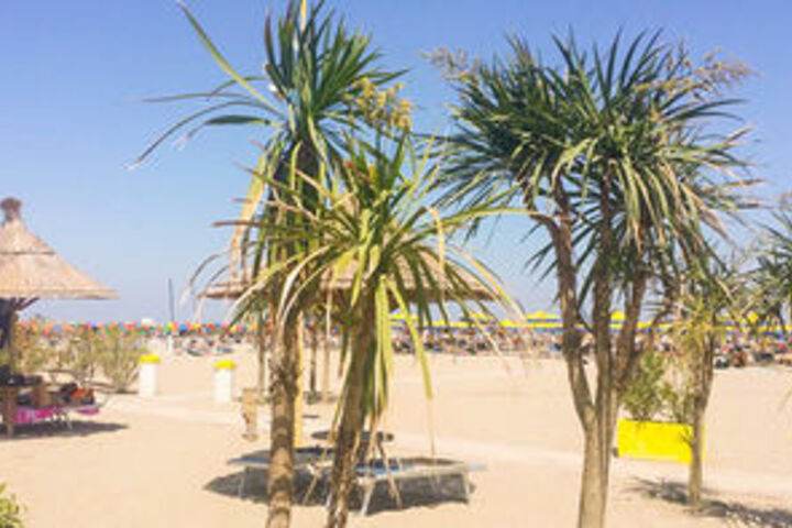 Beach 9 of 51