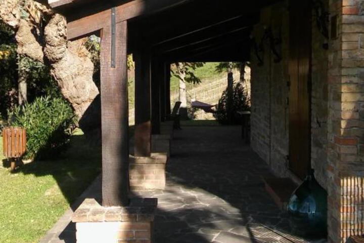 Photo 12