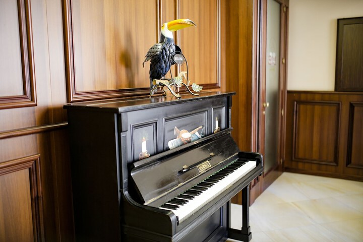 Lounge 41 of 45