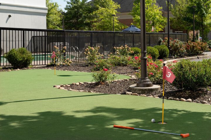 Mini-golf